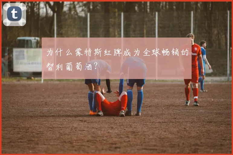 为什么蒙特斯红牌成为全球畅销的智利葡萄酒？
