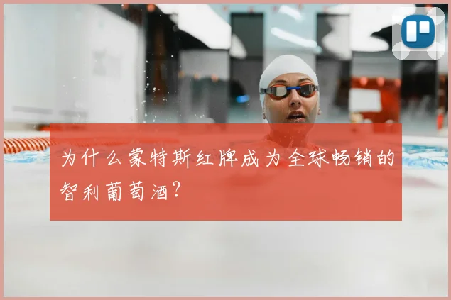 为什么蒙特斯红牌成为全球畅销的智利葡萄酒？